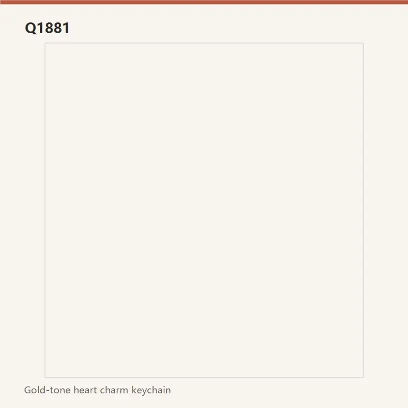 Q1881 主图 2