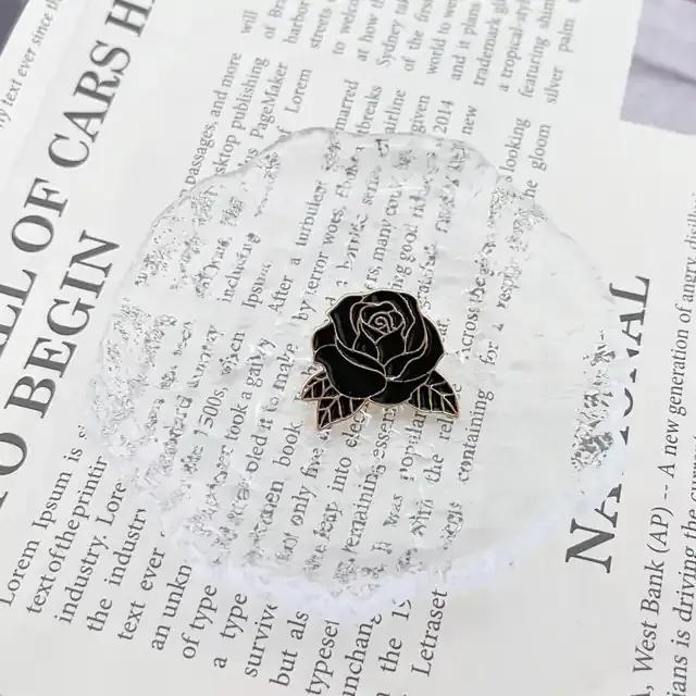 R893 Photo 1